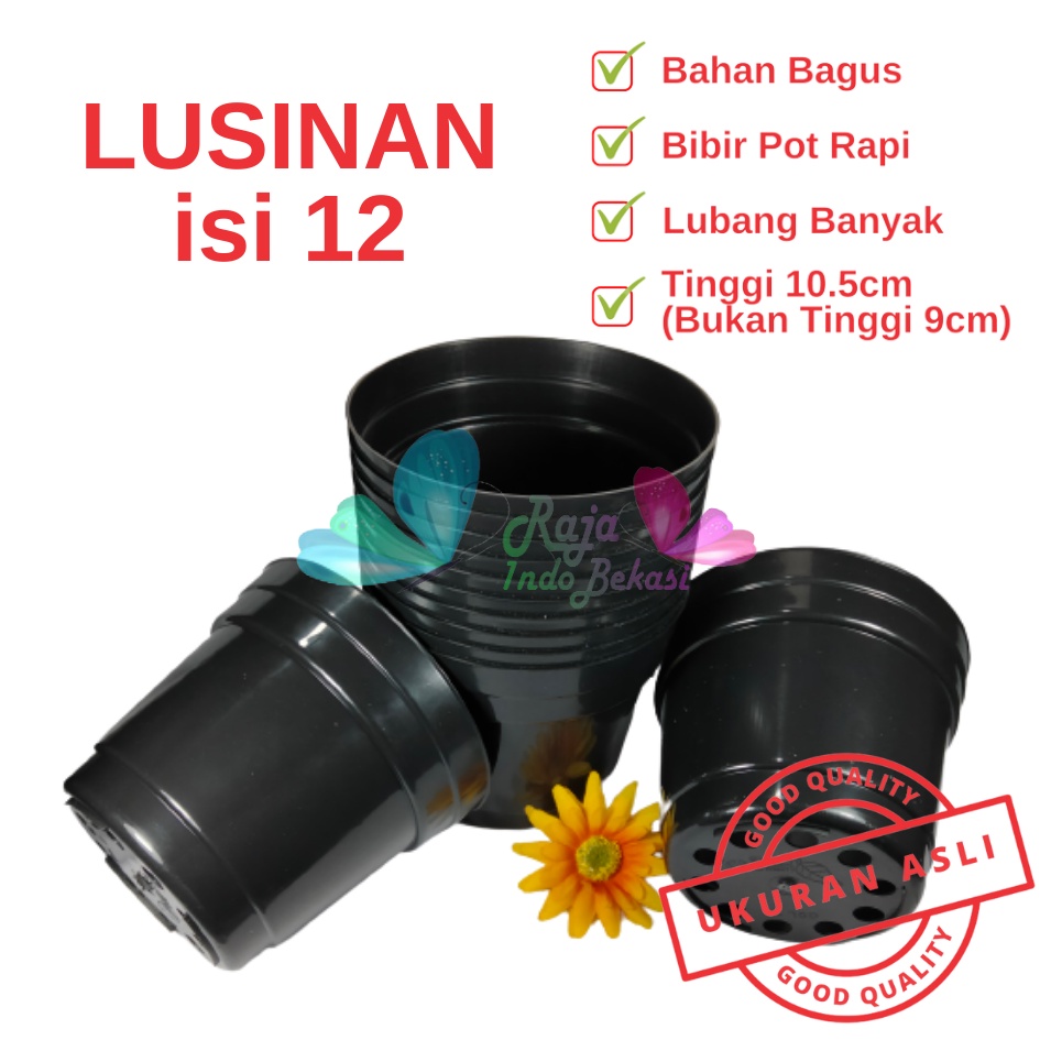 Rajaindobekasi Lusinan Pot 12 Cm Hitam Polos - Pot 12 Hitam Kecil Mini Minimalis Plastik Kaktus Sukulen Mini Murah Pot Bibit Pembibitan - Pot 12 Cm Grosir Lusinan