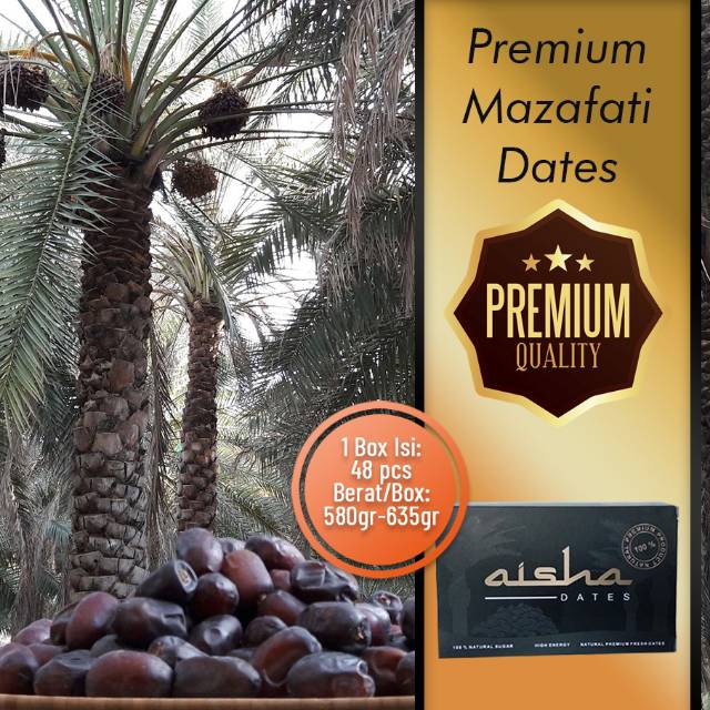 

KURMA | AISHA DATES - KURMA RUTHOB IMPORT IRAN | KURMA AZWA ALAMI