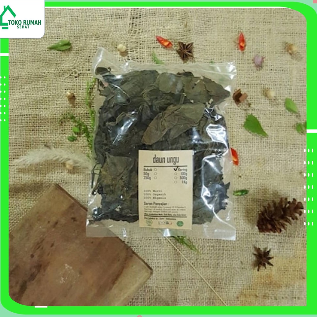 Jual Daun Ungu Kering 1 Kg Graptophyllum Pictum Murni Jsr