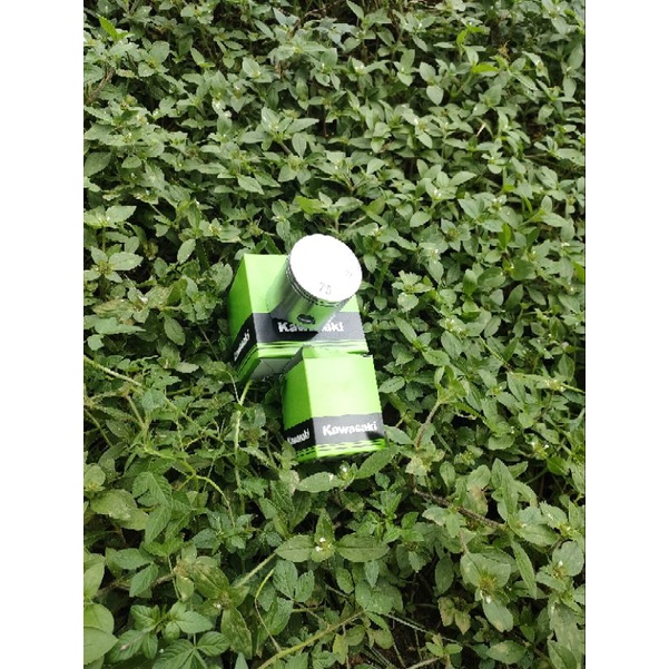 PISTON NINJA R RR ORIGINAL JAPAN PISTON ENGINE NINJA 2T