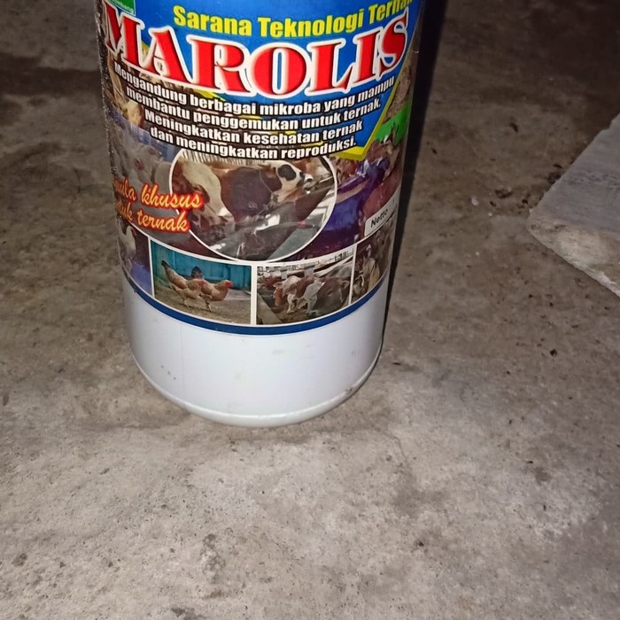 

Prebiotik untuk ayam potong atau pedaging