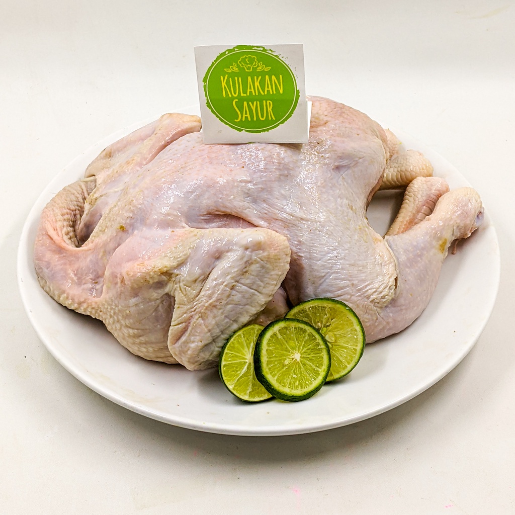 

Ayam Broiler Utuh