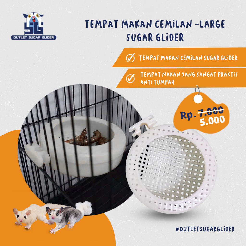 TEMPAT MAKAN CEMILAN LARGE / SNACK / ULAT / JANGKRIK - SUGAR GLIDER