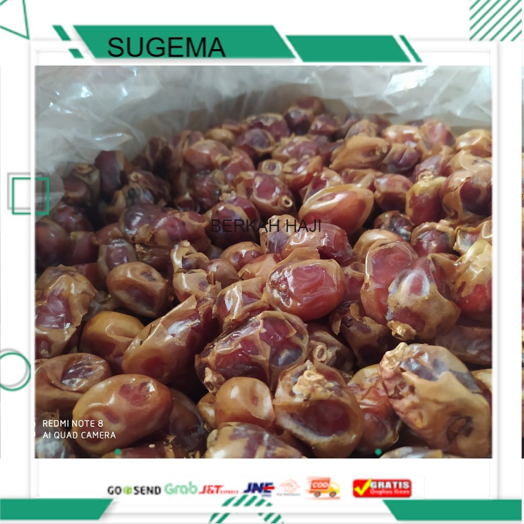 Kurma Khalas Dus 10 Kg Premium Original - Best Quality