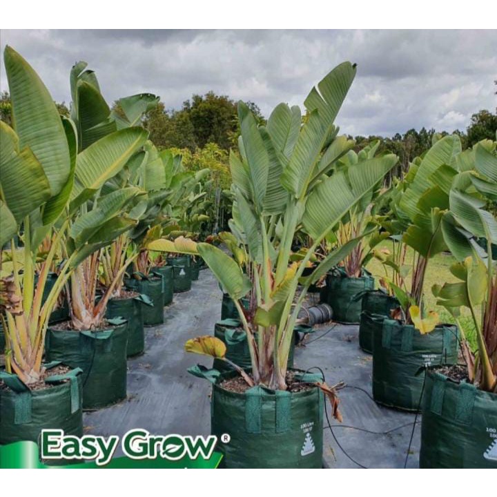 PLANTER BAG JUMBO 2000 LITER EASY GROW planterbag 2000liter easygrow pot polybag benih bibit tanaman