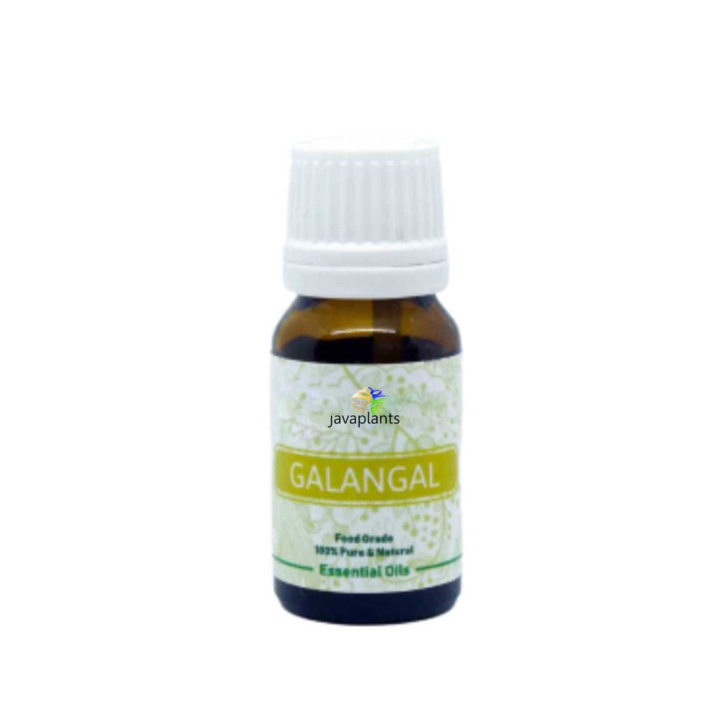 Alpinia Galangal Essential Oil 10 ml Minyak Atsiri Lengkuas Putih 100 % Pure & Natural