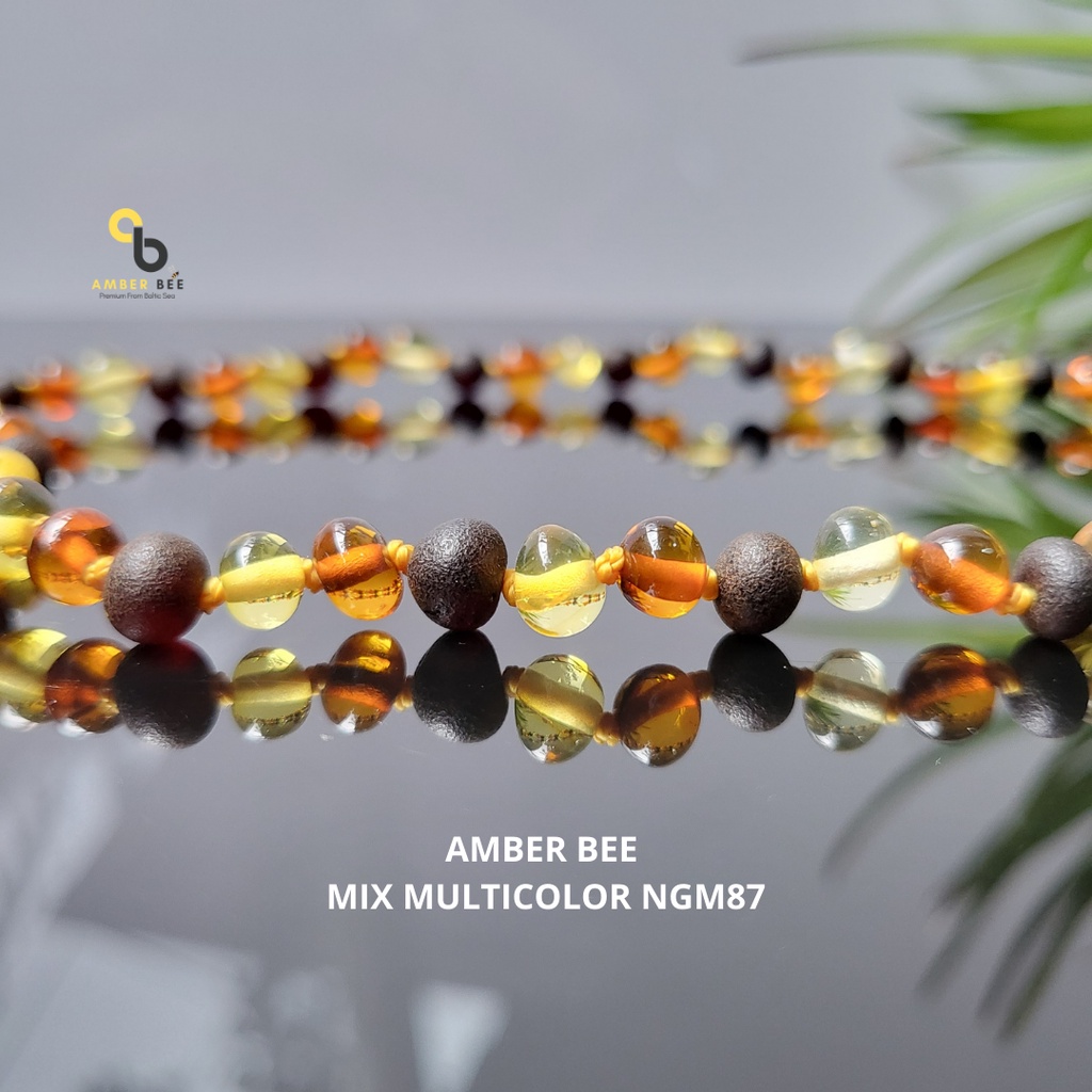 Set Kalung Gelang Amber ORI Baltic Anak Premium Glossy Multicolor SNGM87140 By Amber Bee