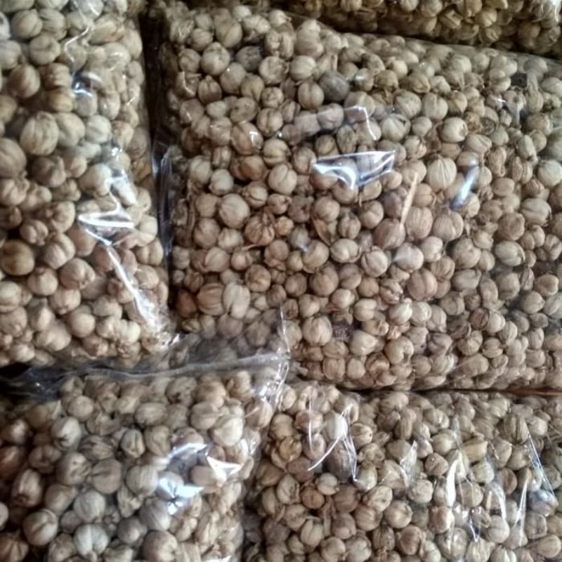 

kapol/ kapolaga/ kapolaga original/ kapolaga lokal