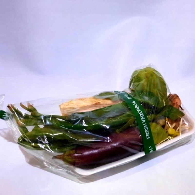 

Paket Sayur Lodeh sayuran segar