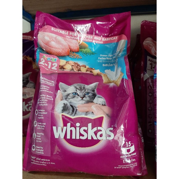 whiskas 1,1kg dry food kitten