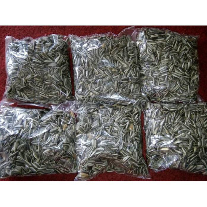 Benih Bunga Matahari / Bibit tanaman bunga matahari *_@