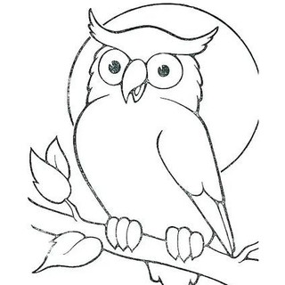 470 Koleksi Gambar Burung Hitam Putih Untuk Kolase HD