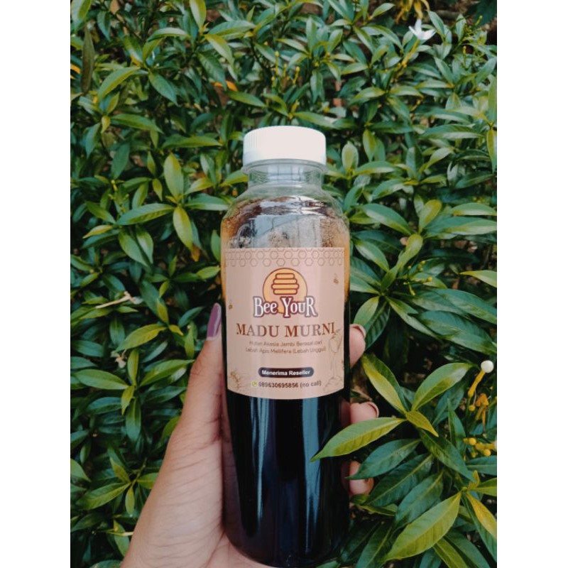 

Madu Murni Apis Mellifera