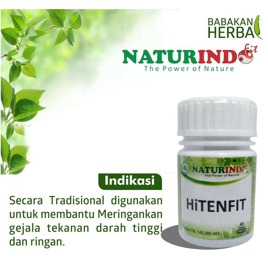 

Obat Herbal Menurunkan Darah Tinggi Naturindo Hitenfit Babakan Herbal