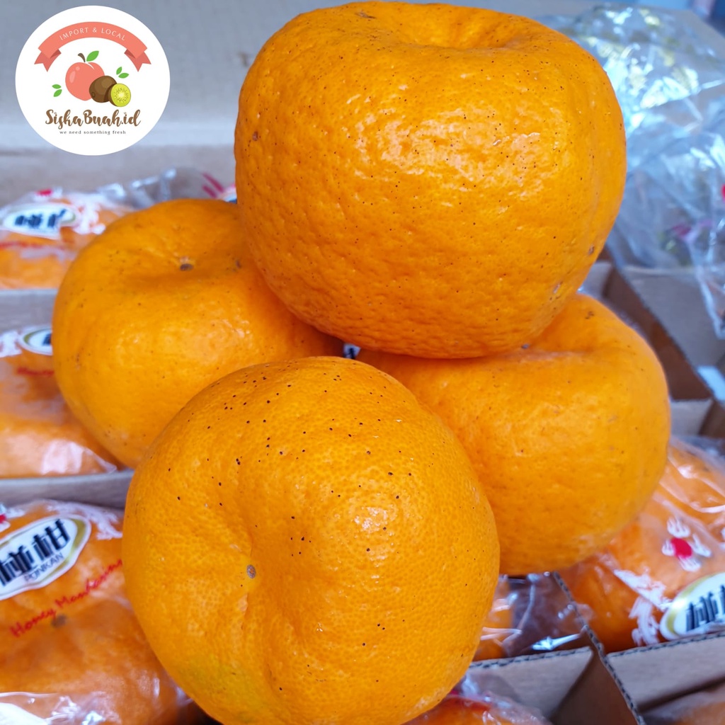 JERUK PONKAM JUFU MANDARIN - FRESH IMPORT