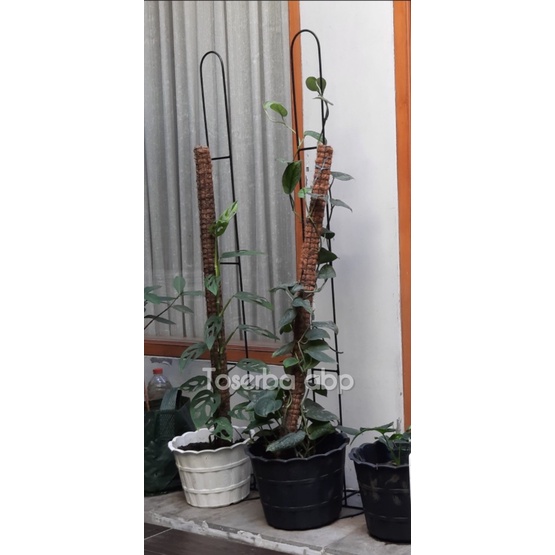 STANDING RAK BESI RAMBAT/RAK TANAMAN RAMBAT/RAK BUNGA RAMBAT