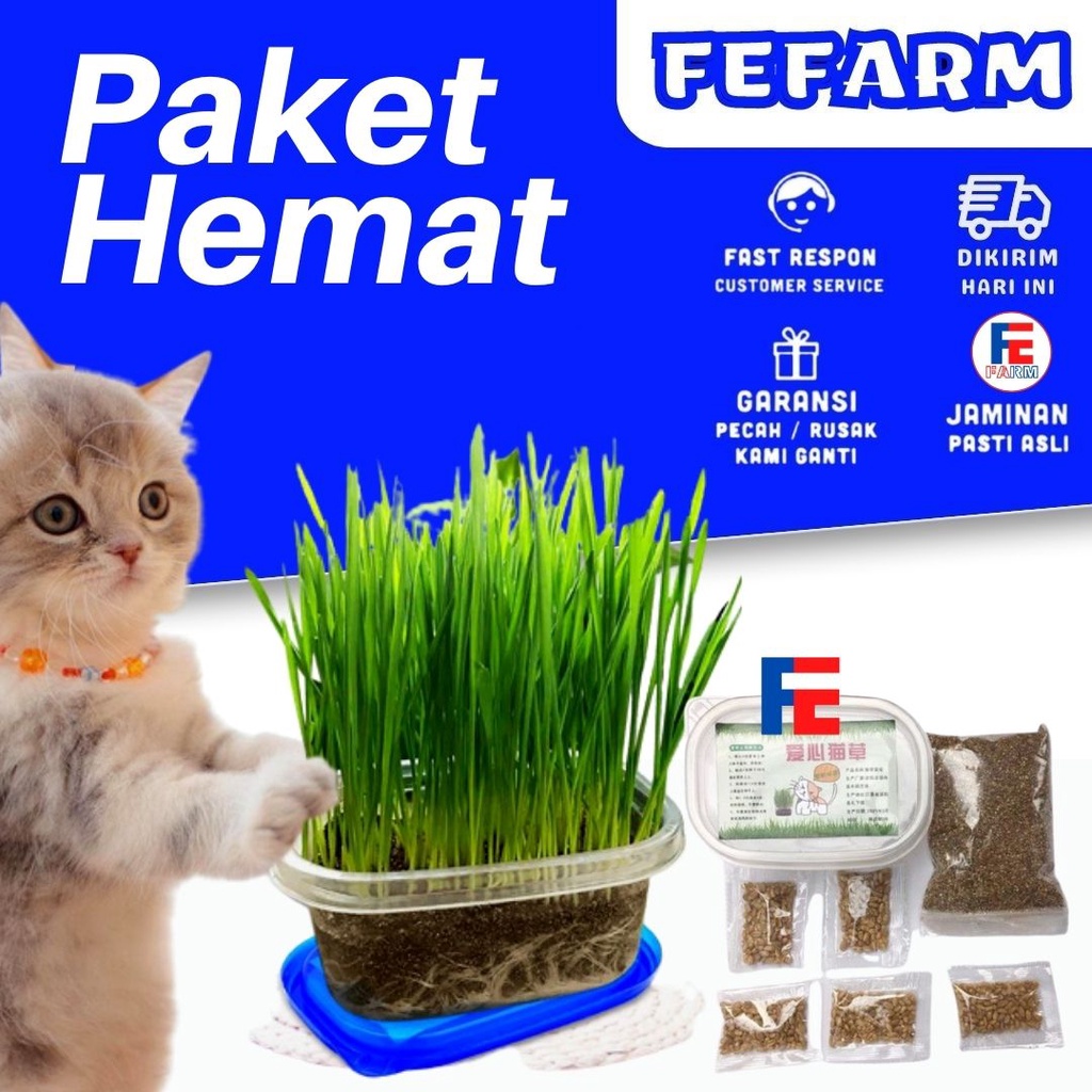 Paket Hemat Cat Grass - Satu Paket Benih Media Tanam FEFARM