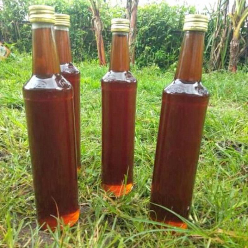 

Madu Tawon Liar