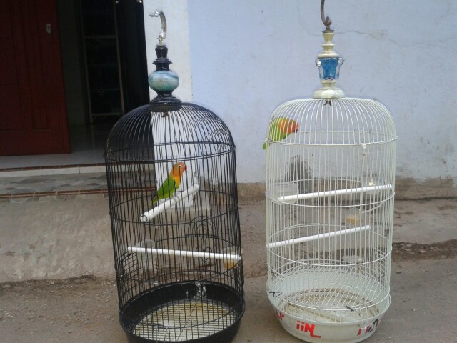 Kemeja Batik Pria Lengan Panjang Size M L Xl Xxl Xxxl