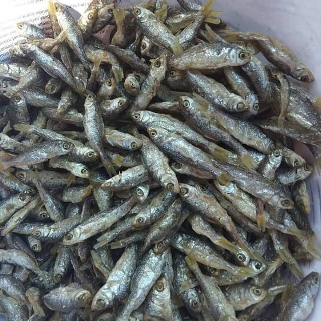 

ikan bilis goreng danau singkarak khas minang