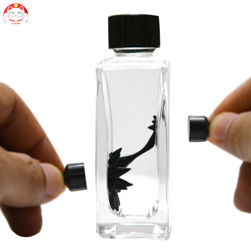 Ferrofluid Display In A Bottle Magnetic Liquid Magnets Educational Toy Gift for Kids