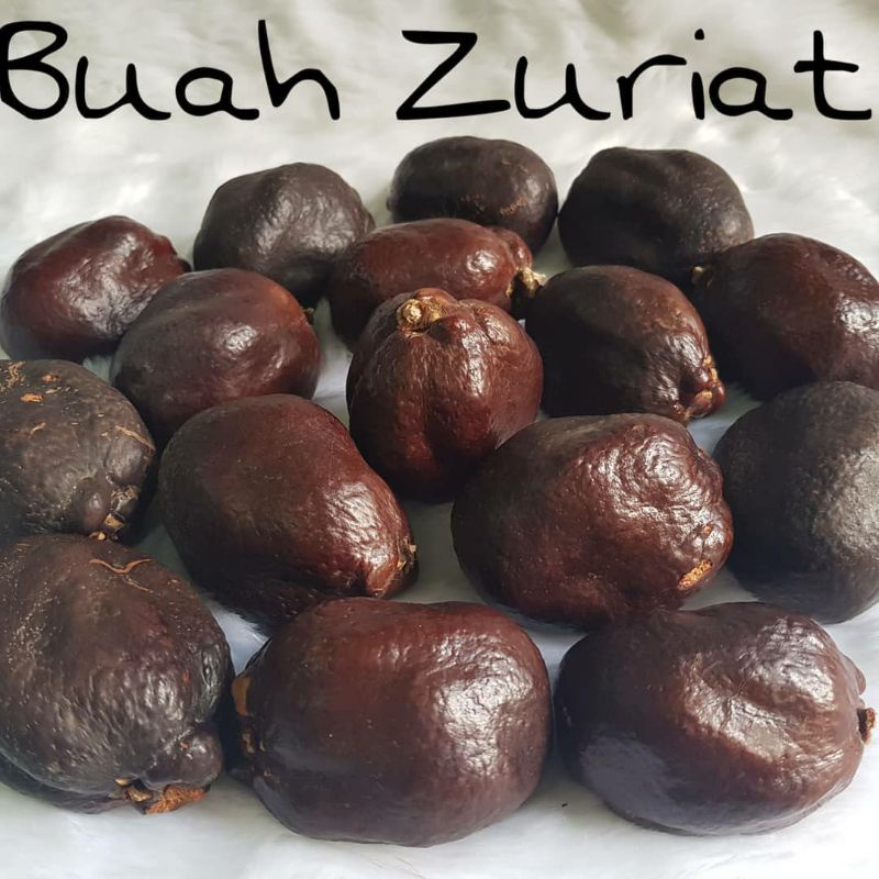 

( READY ) Buah Zuriat Madinah Original 1kg | Zuriat Madinah asli 100% promil Grosir