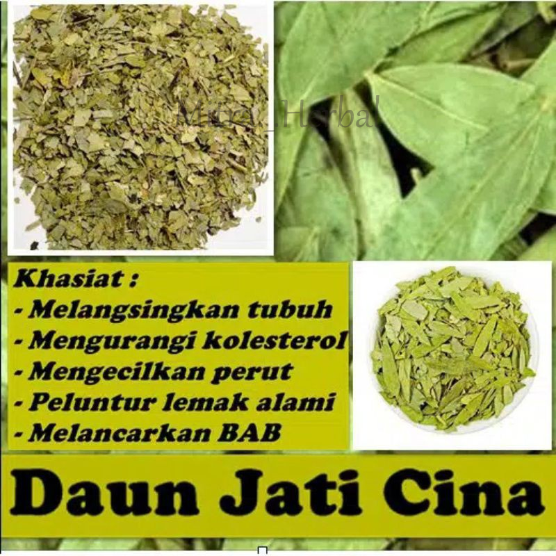 Kapsul Daun Jati Cina / Herbal Pelangsing / Obat Diet Ampuh / Pelangsing Herbal Isi 50 Kapsul 100% Ekstrak Daun Jati Cina