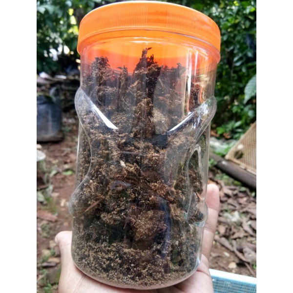 jakaba kering