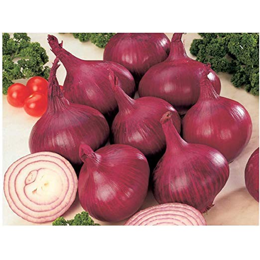Cara Bedakan Bawang Bombay Merah Okezone Lifestyle