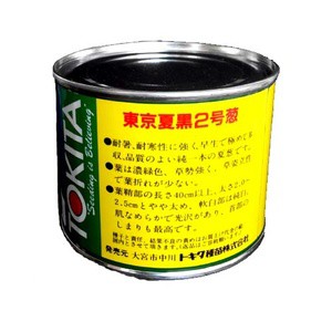 Tokita Seeds Bunching Onion - Benih Bawang Daun - 80 gram