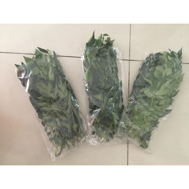 

Daun Kari Daun Salam Segar 50gr 100% original