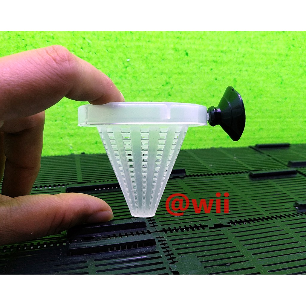 tempat wadah media cacing sutra aquarium aquascape grosir murah