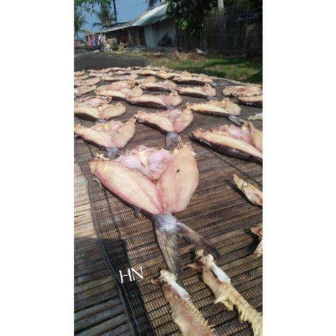 

Ikan asin jambal roti super