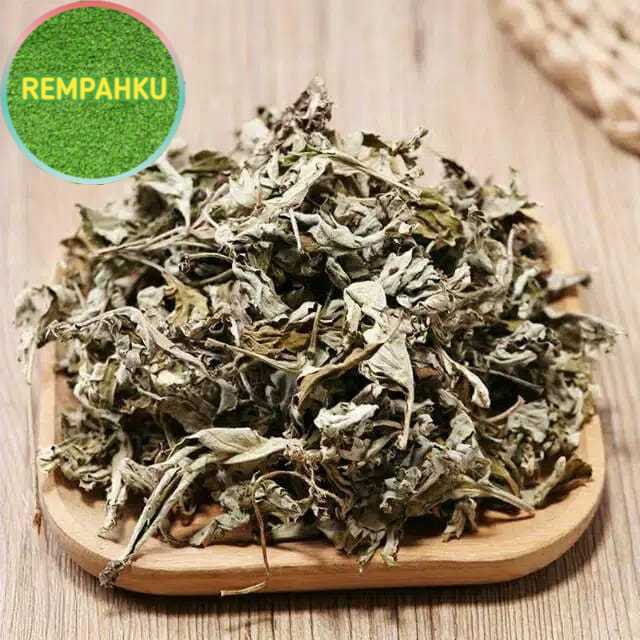 

MUGWORT DAUN BARU CINA KERING 1 Kg - BARU CINA - Artemisia Vulga