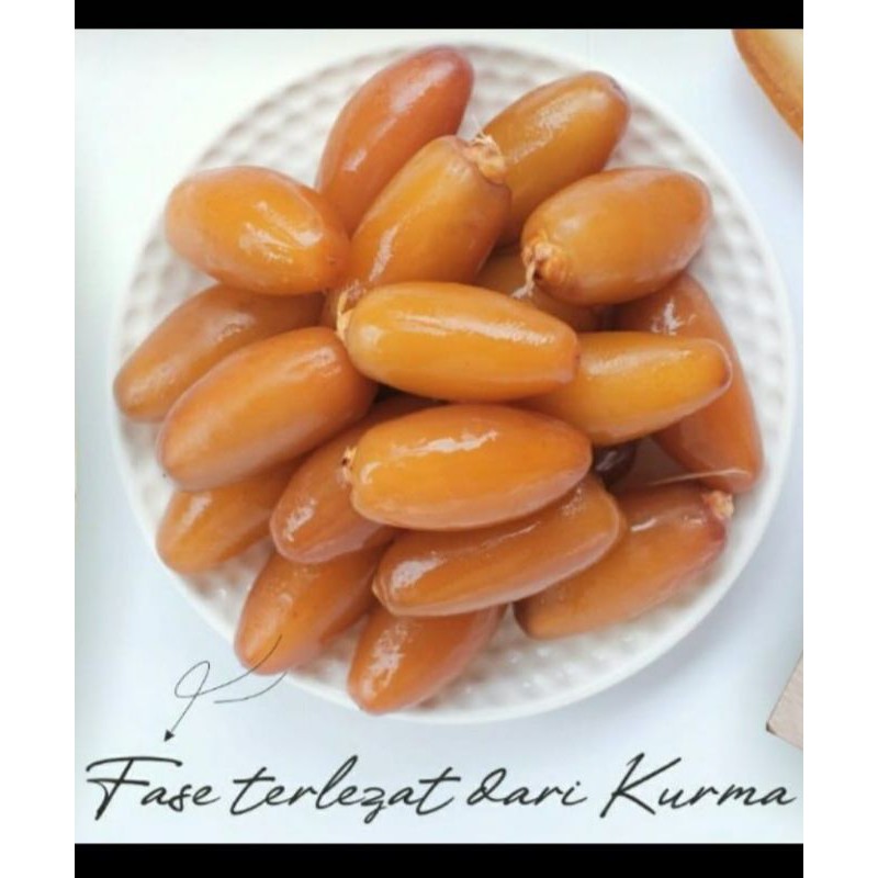

kurma ruthob rutoub rayan rutob royan 450 gr
