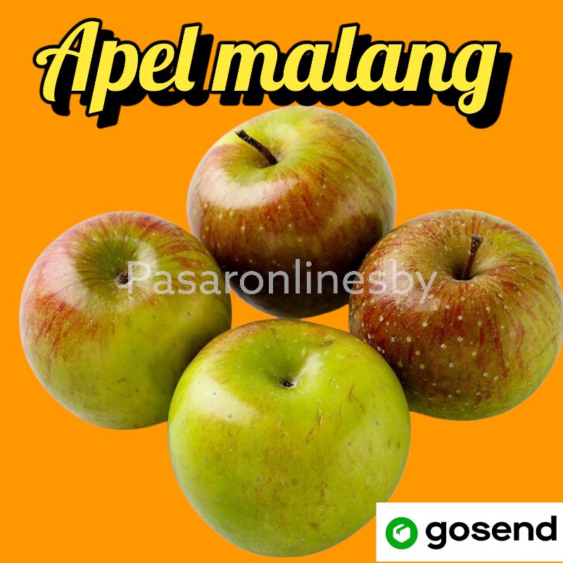

Apel Malang Per kg