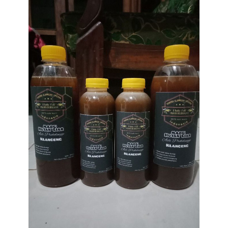 

madu klanceng / kelulut trigona jenis LEVICEP