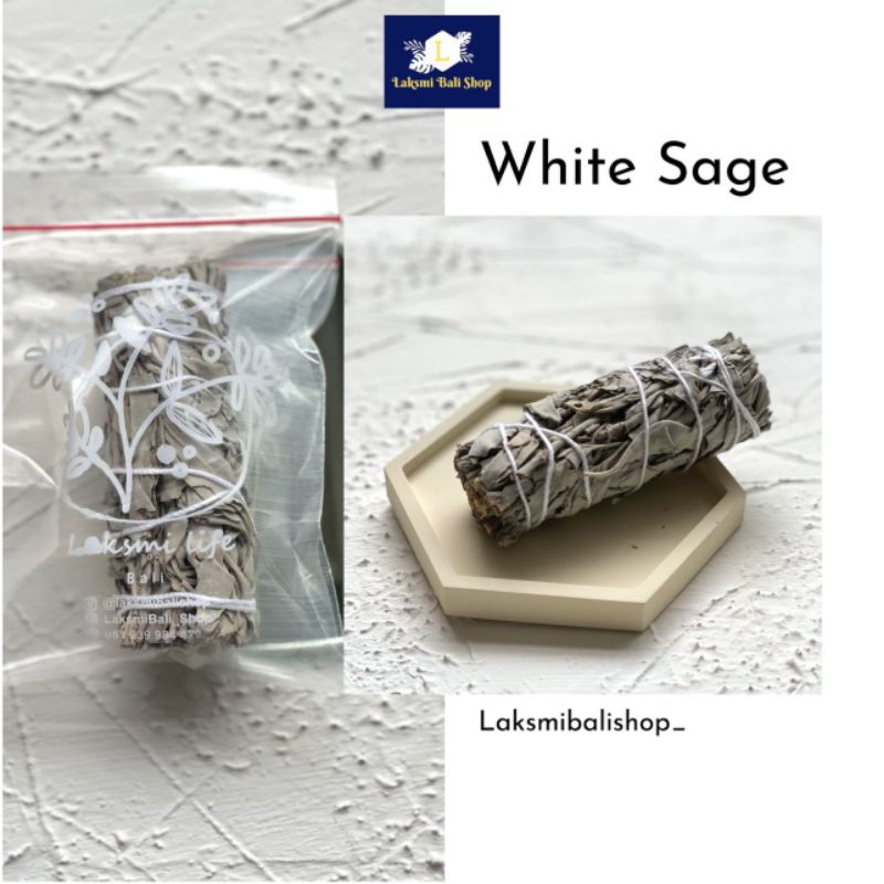 4 inch White Sage