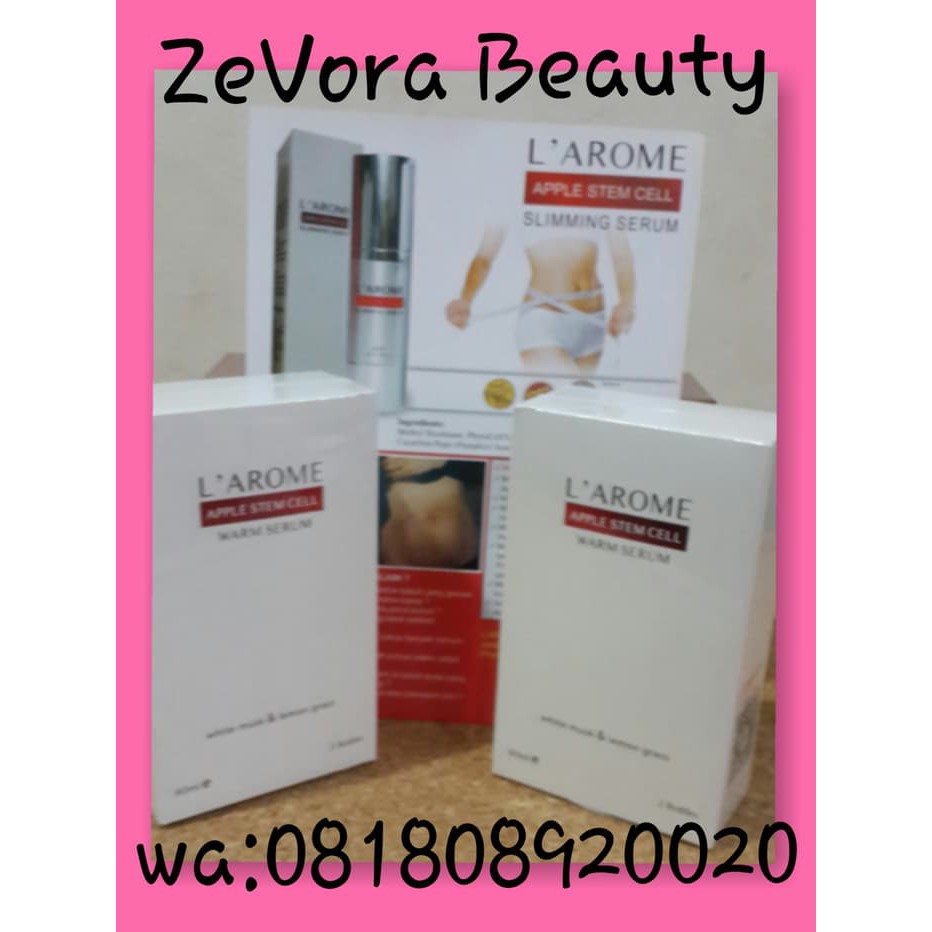 PROMO    probio c/ vitamin c 1000 mg/5 ampul  TERLARIS