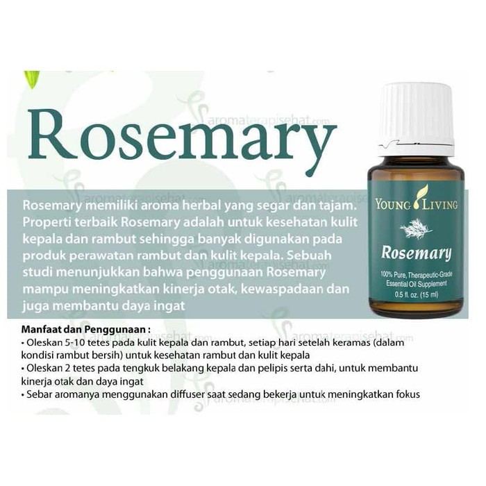 Essential Oil Rosemary 15 Ml Shopee Indonesia