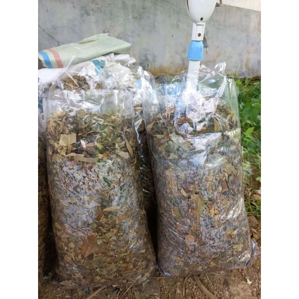 kompos daun bambu 1kg(organik)