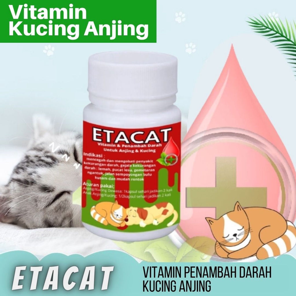 Vitamin Penambah Darah Kucing Anjing Ecer Per Kapsul FEZONE