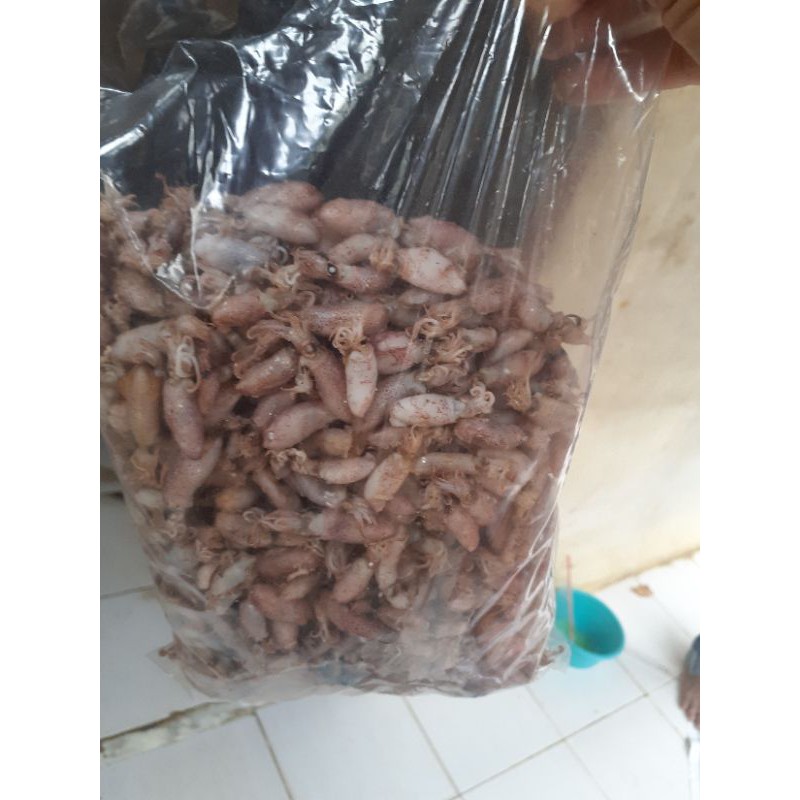

Baby Cumi Asin Rebus size 0,5-4 cm 1kg
