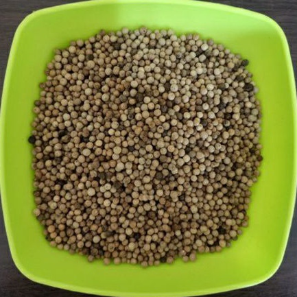 

Lada 1 kg / Lada Butir 1 kg - MEGA KEMIRI