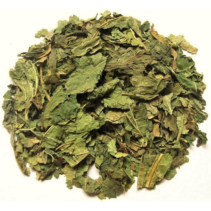 

10 G 50 GR 100 GRAM 桑叶 SANG YE FOLIUM MORI MULBERRY LEAF LEAVES