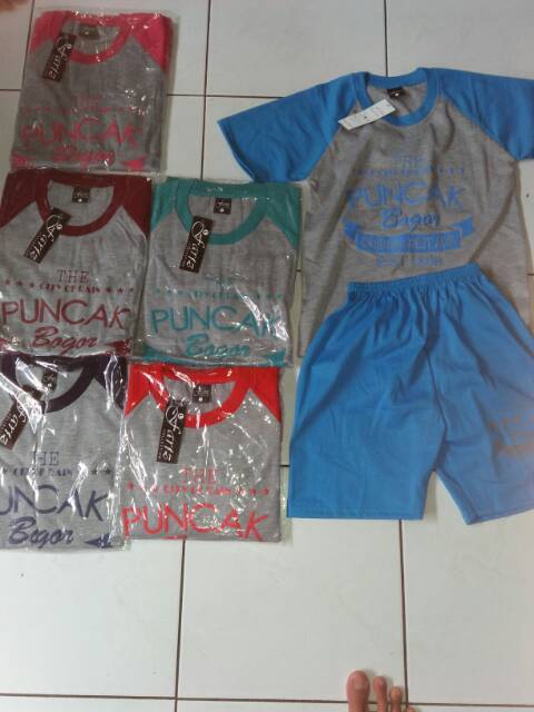 Kaos stelan oleh2 puncak bogor