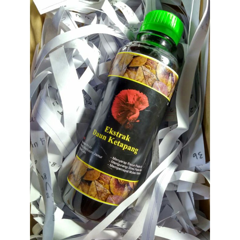 ekstrak daun ketapang original 250 ml