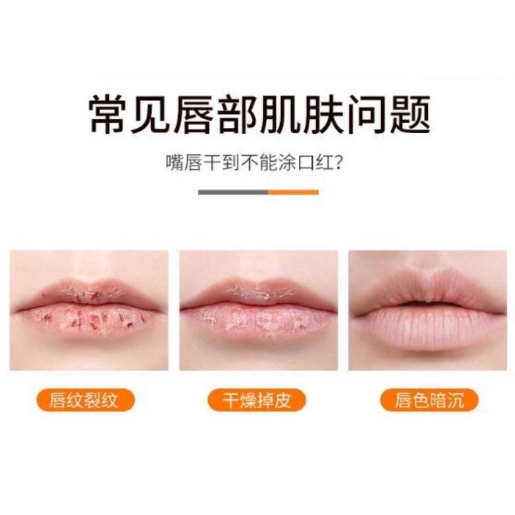 PA Lipstick Hare Arab Halal - Lip balm Hare - Lipstick Import Pemerah Bibir - Pelembab Bibir AK037