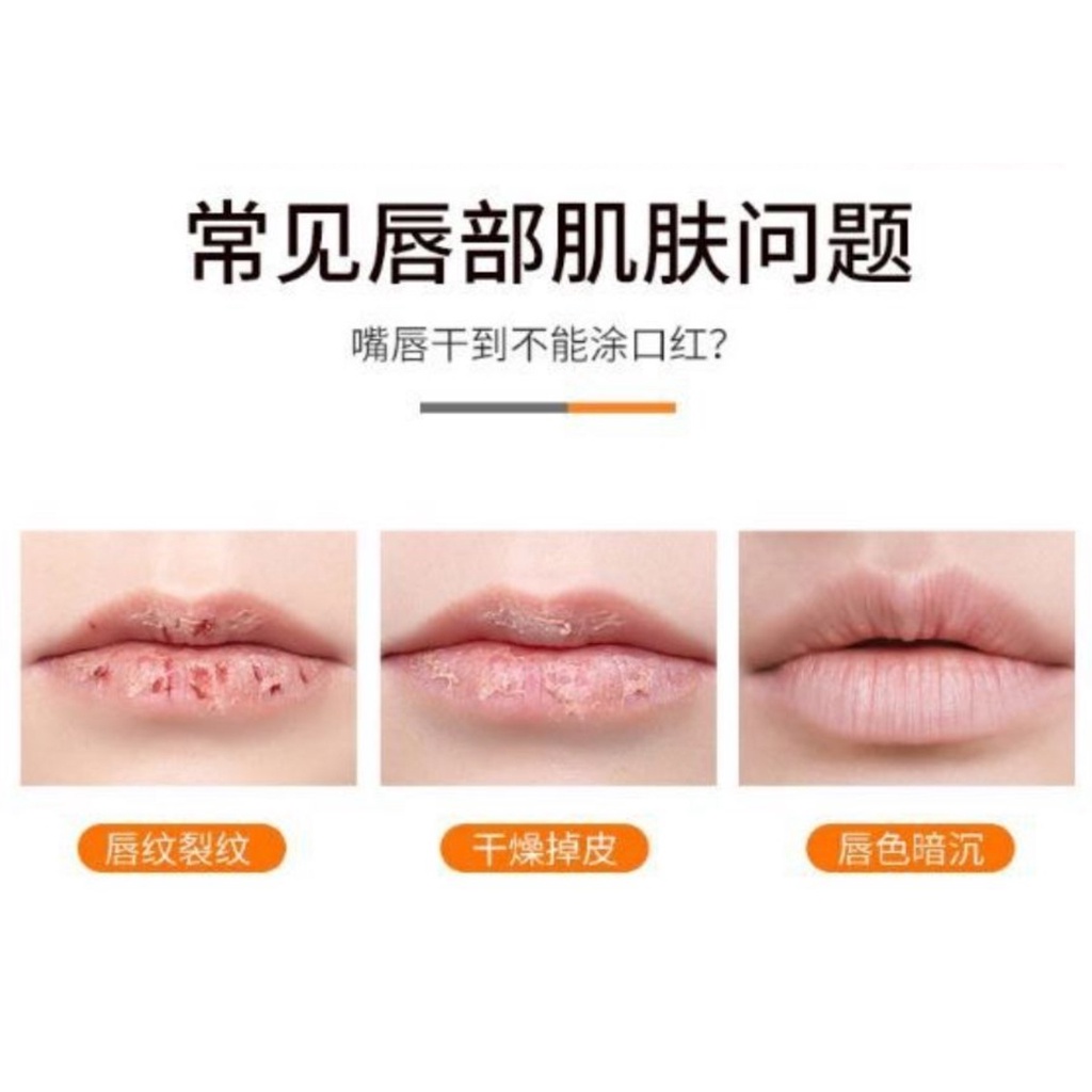 PA Lipstick Hare Arab Halal - Lip balm Hare - Lipstick Import Pemerah Bibir - Pelembab Bibir AK037