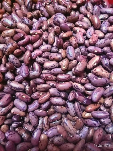 

Kacang merah joggo 250g KUALITAS SANGAT PREMIUM